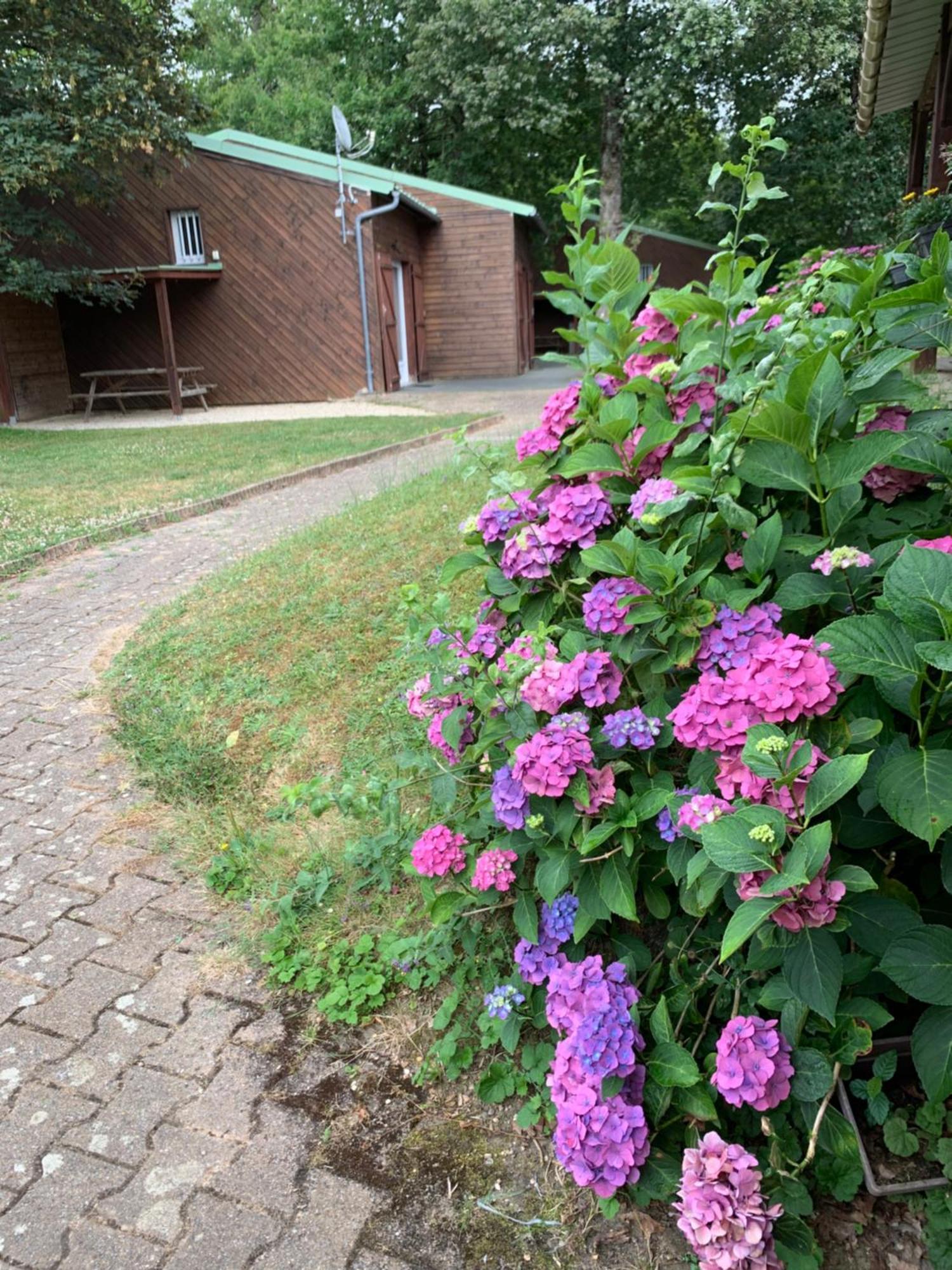 Chalets Mouliere Evasion Montamisé Kültér fotó