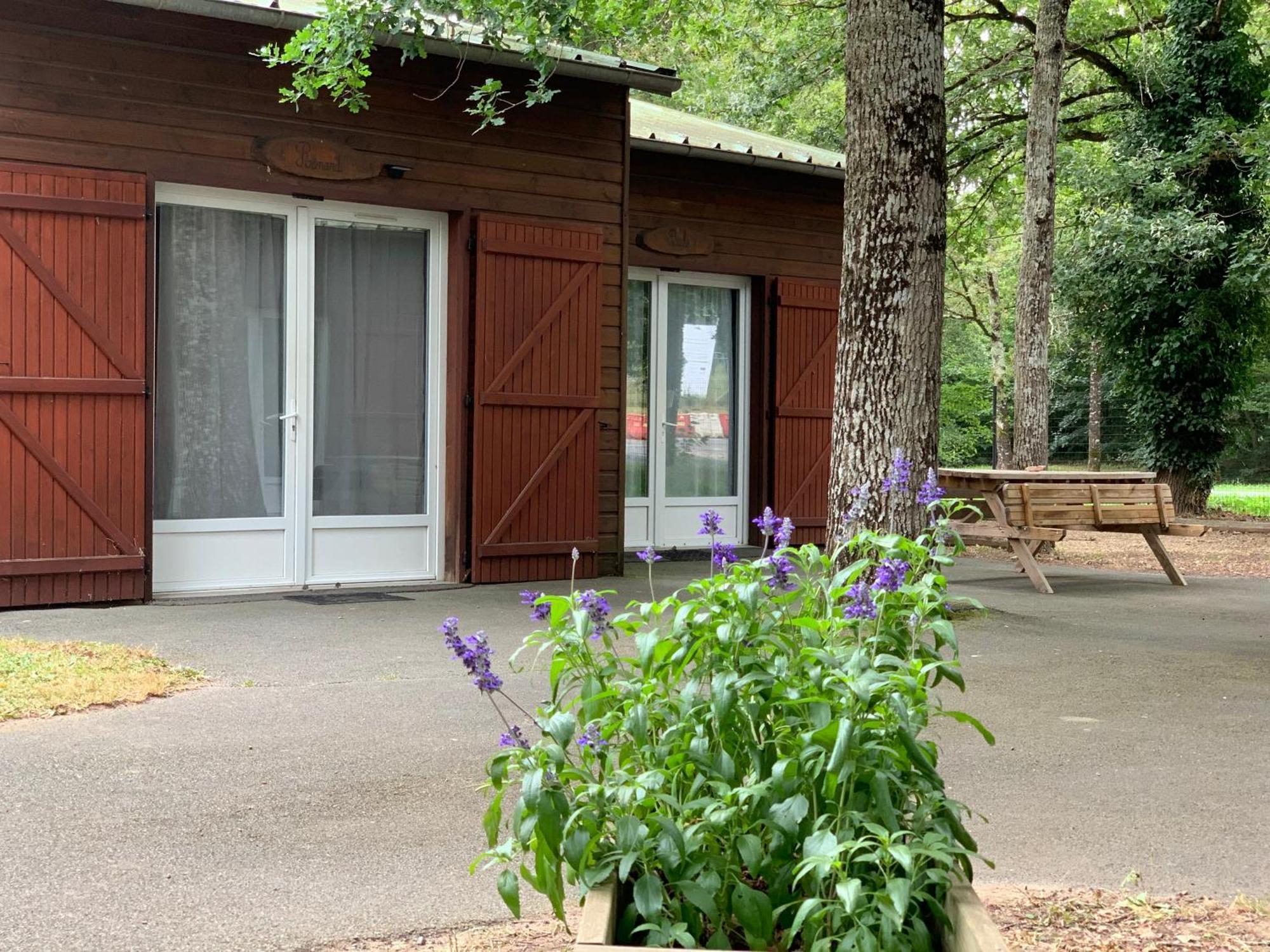 Chalets Mouliere Evasion Montamisé Kültér fotó